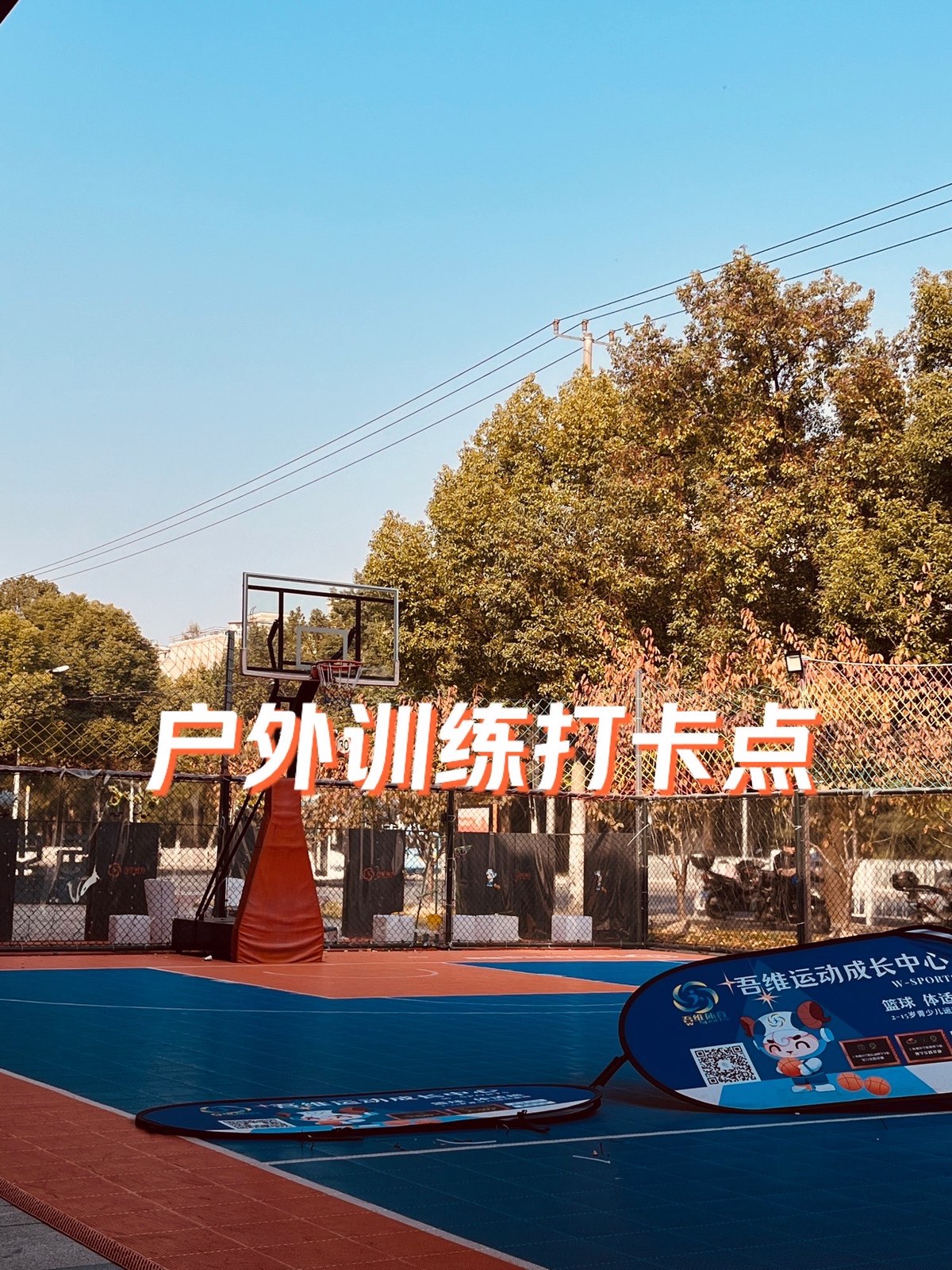 青少年篮球爱好者综合训练方案_1